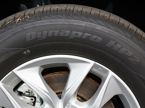 2026�� 2.5L �߶���