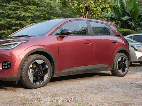 2025�� 420�����