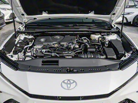 2026�� ˫�� 2.5HXS �˶�Plus��