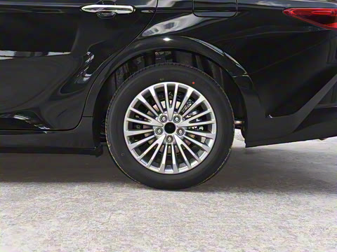 2026�� ˫�� 2.0HGVP ������