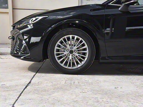 2026�� ˫�� 2.0HGVP ������