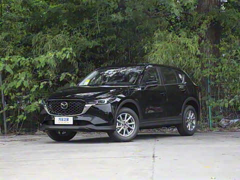 2025�� 2.0L �Զ���������Pro