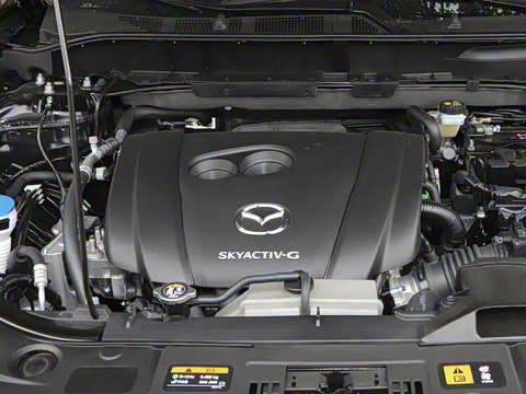 2025�� 2.0L �Զ���������Pro