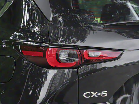 2025�� 2.0L �Զ���������Pro