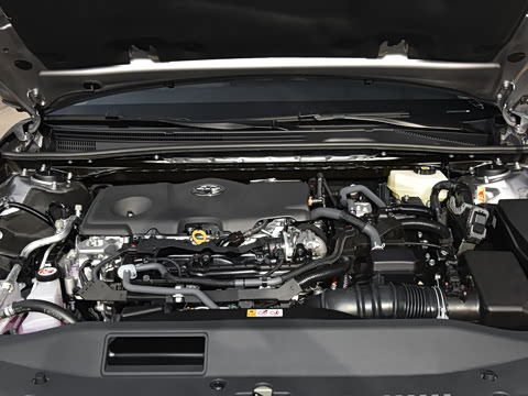 2026�� ˫�� 2.5HG ����