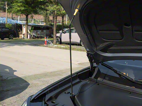 2026�� ���������� ��ͥ�� 520 �Ǻ���