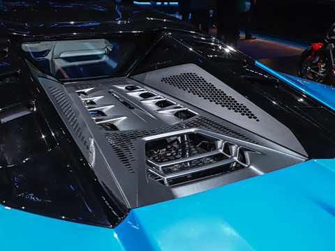 2025�� ������