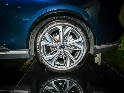 2025�� ����200�����˶���