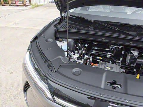 2025�� 301KM �캽��