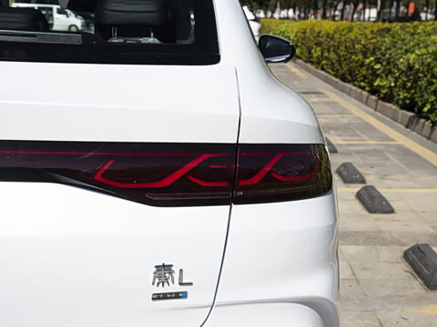 2026�� DM-i 210KM������