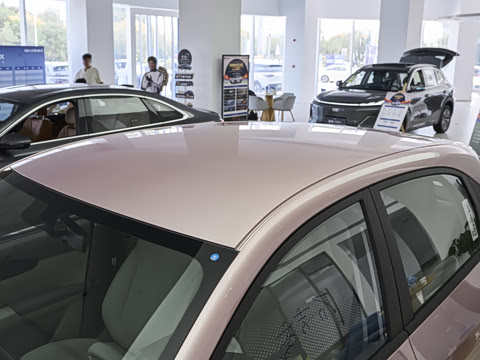 2026�� 310km ������