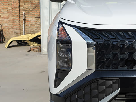 2026�� ��� 2.0L ������DLX