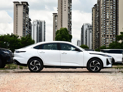 2026�� 1.5L �������� ������