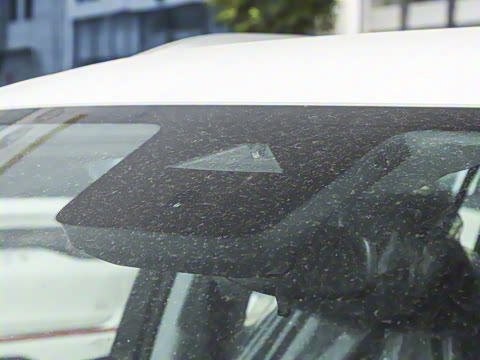 2025�� 515KM������