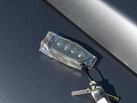 2025�� 2.0T 4WD Pro