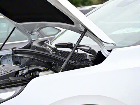 2026�� ������Plus 28T �����׽��