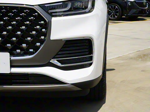 2025�� 290TGDI DCT����� 