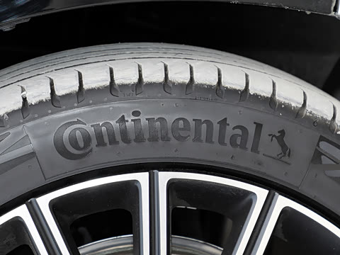 2025�� ��� ����������