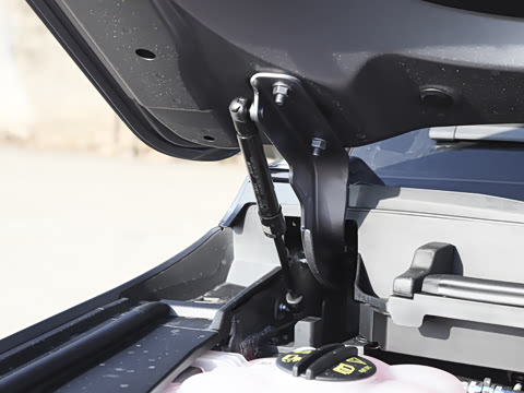 2025�� �Ǿ�Ǭ���� 5��