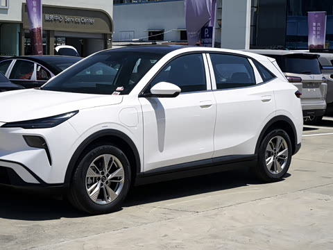 2026�� 565km ��ϲ��