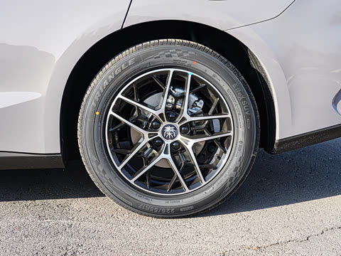 2026�� DM-i 210KM��Խ��