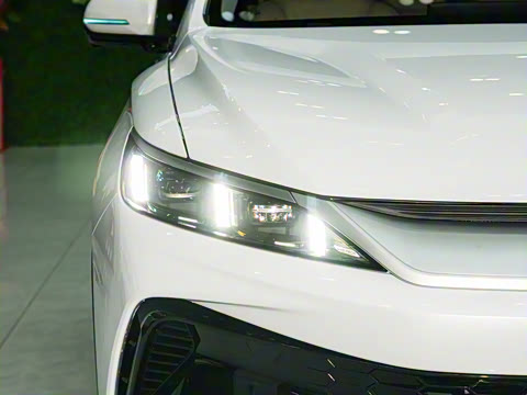 2026�� DM-i 220KM׿Խ��