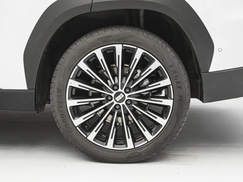 2026�� Զ���� 225km �ǽ���