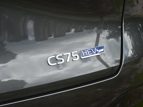 2026�� ���Ĵ� 1.5T �������� ������