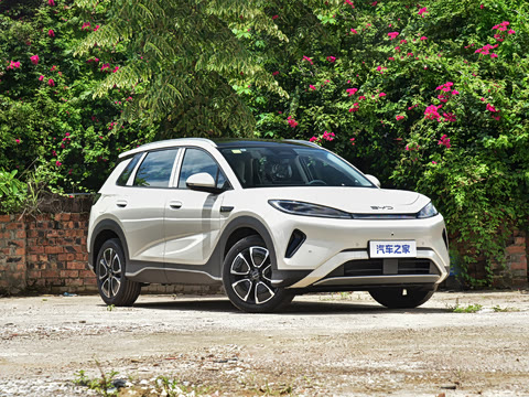 2026�� DM-i 305�Ǻ���