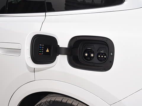 2026�� ���� Max�������� 5��