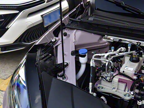 2026�� 520�Ǻ���