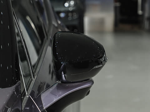 2025�� 530km ����Pro