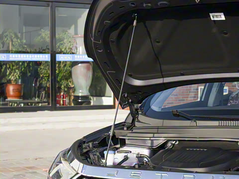 2025�� 1.6TD DCT��Ӣ�� 7��