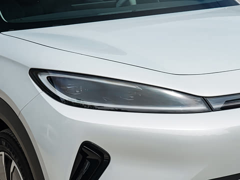 2026�� DM-i 220�캽��