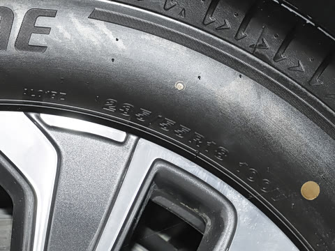 2025�� 25T �׽��