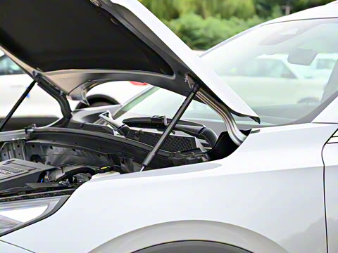 2026�� ������Plus 28T �����׽��