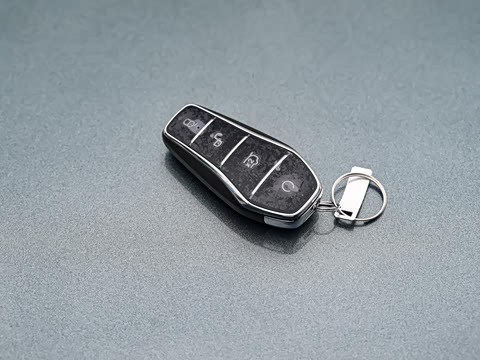 2025�� DM-i 205�캽Pro��