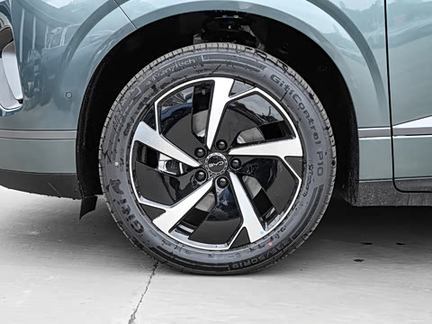 2025�� DM-i 205�캽Pro��