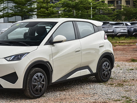 2026�� 305km ������