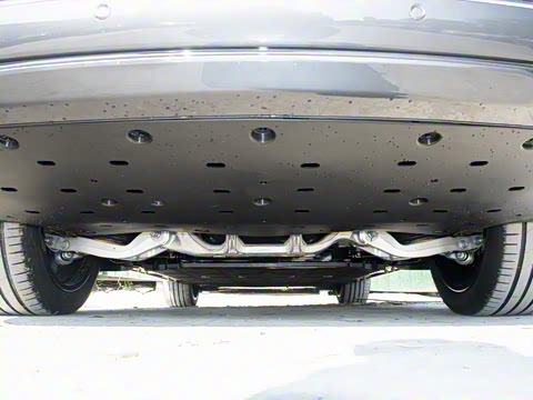 2025�� ���� Max+ ������������ 