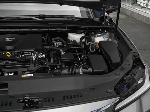 2026�� ˫�� 2.0L ������