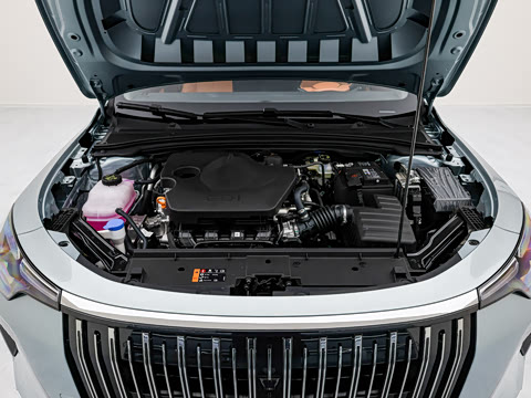 2026�� 1.5L �����