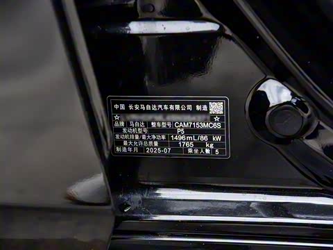 2025�� 1.5L �ֶ�������