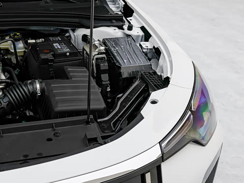 2026�� 1.5L �����