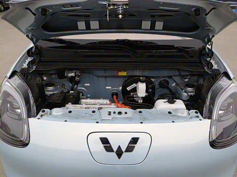 2025�� ���Ű� 301km ����+��