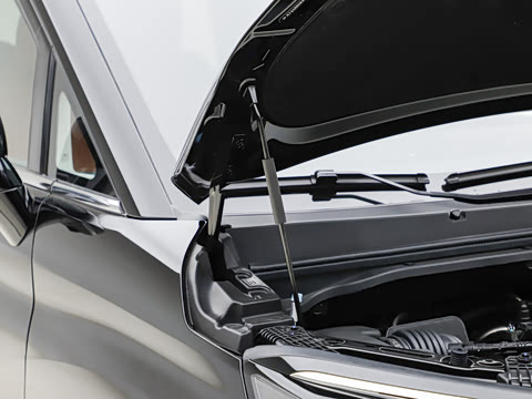 2026�� ���̰� 230�콢�� 7��