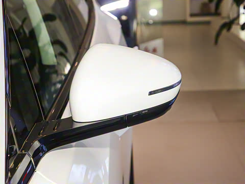 2025�� 520 ��ѡ��