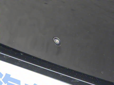 2026�� ���� Max�������� 5��