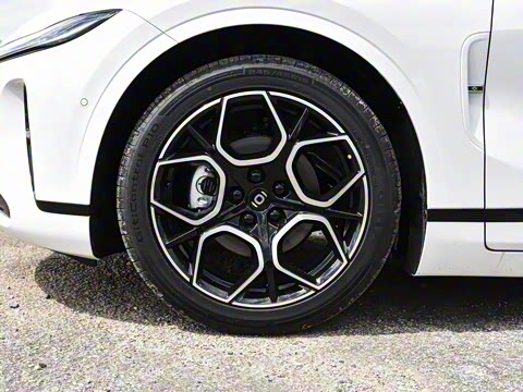 2026�� �����������̰� 310������