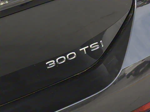 2026�� L 300TSI DSG ʱ����